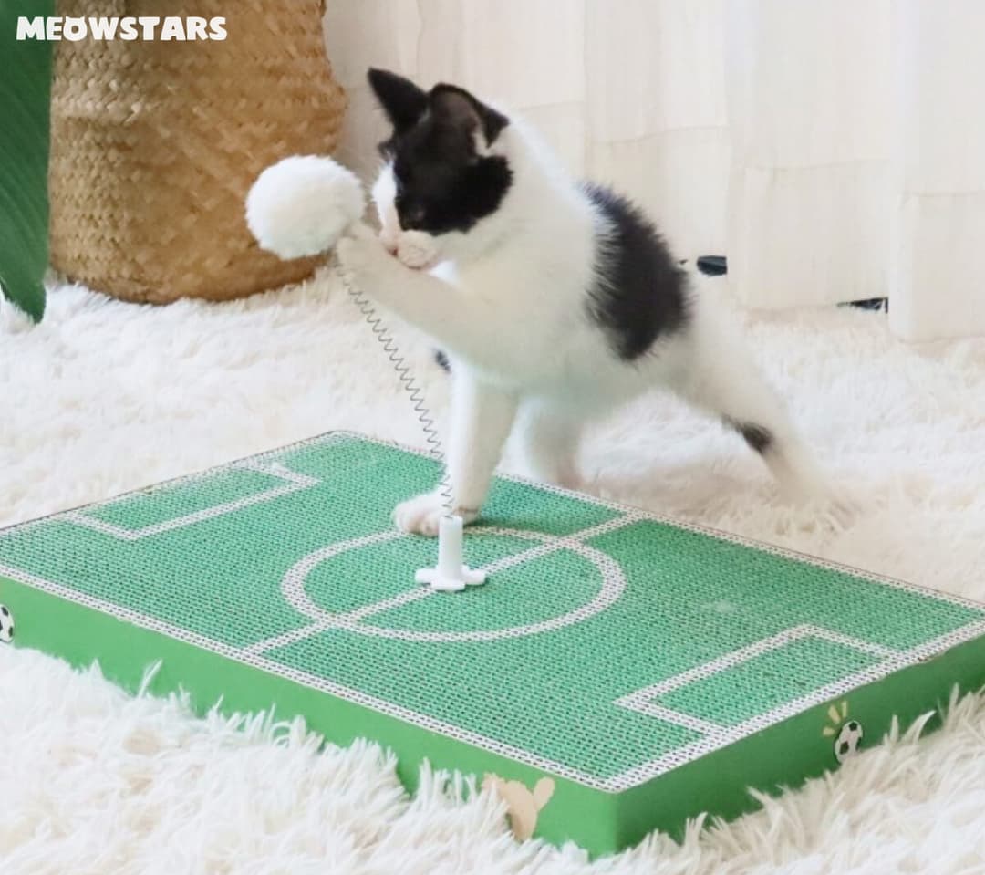 Cat-Friendly Home Decor